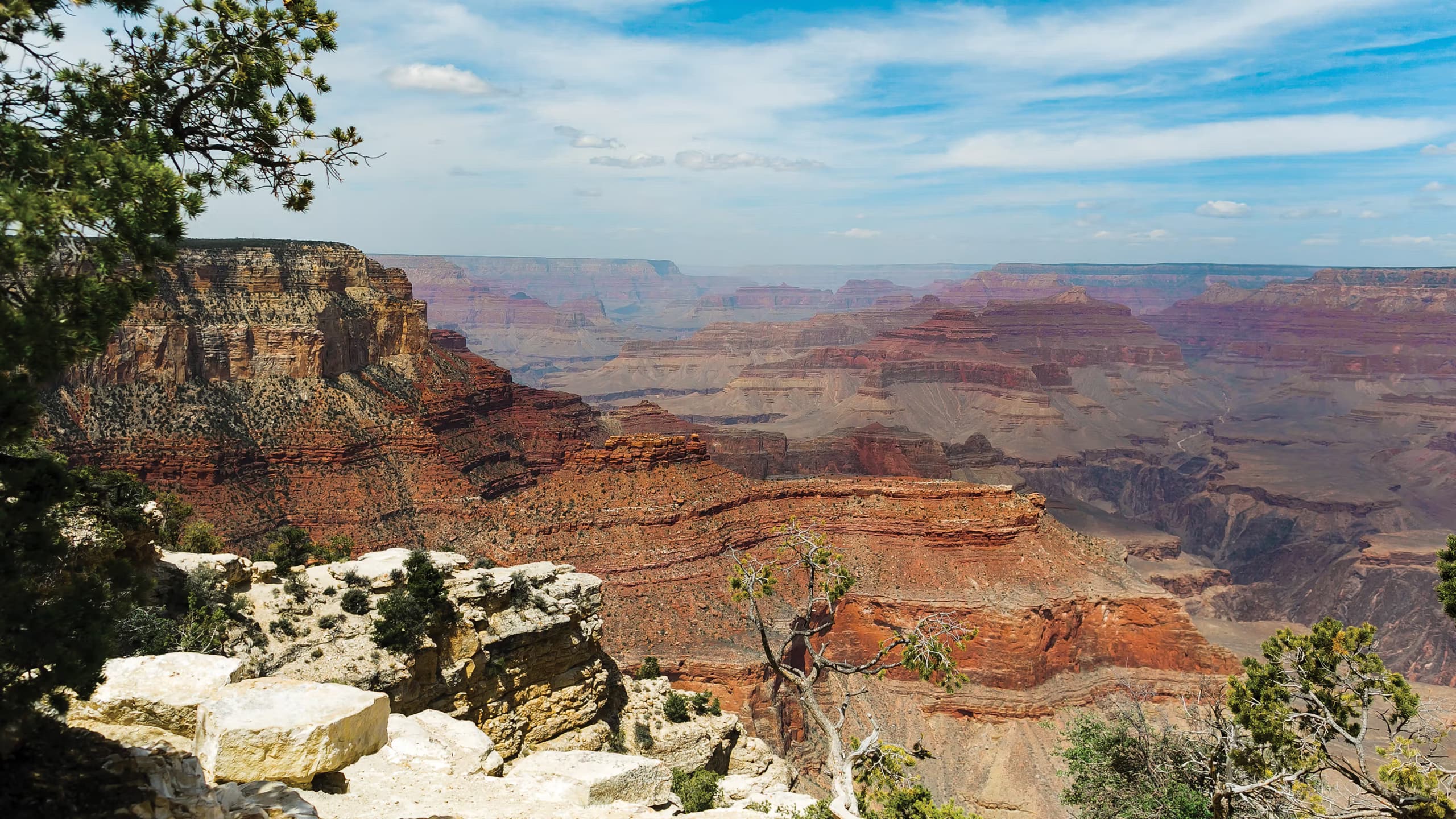 Your Must-See Guide to the Grand Canyon